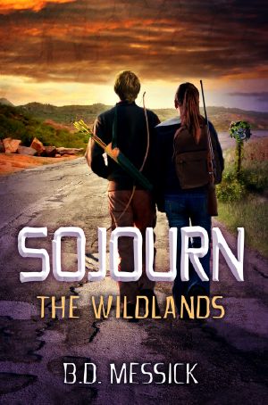 [Rayn Mirago Saga 01] • Sojourn_The Wildlands